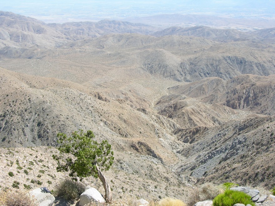 Joshua Tree N.P.