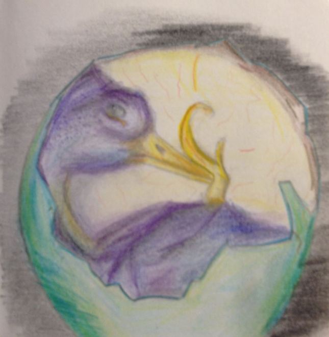 Daily Distraction: Hatching Plans for 2014