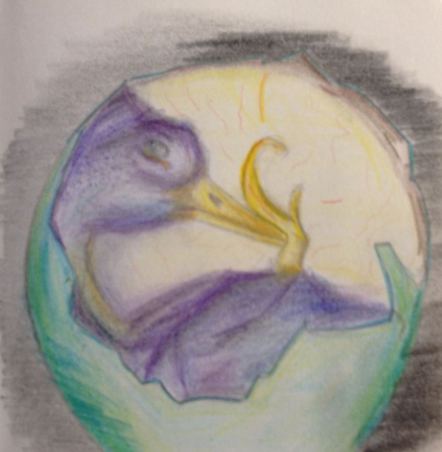 Daily Distraction: Hatching Plans for 2014